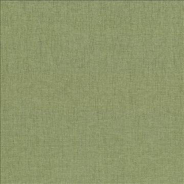 Pinnacle Aloe by Kasmir Fabric 5046 100% Polyester INDIA 102,000 Wyzenbeek Double Rubs H: N/A, V: N/A 54 - 55 - Fabric Carolina - Kasmir