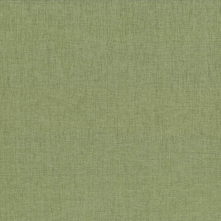 Pinnacle Aloe  by Kasmir Fabric See sample 100% Polyester
 INDIA 102,000 Wyzenbeek Double Rubs </p><p>Repeat: Horizontal: N/A and Vertical: N/A 54  - Fabric Carolina -