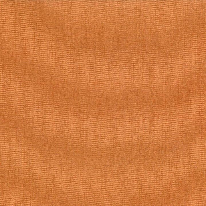 Pinnacle Apricot by Kasmir Fabric 5046 100% Polyester
 INDIA </p><p>Repeat: Horizontal: N/A and Vertical: N/A 54 - 55 - Fabric Carolina -