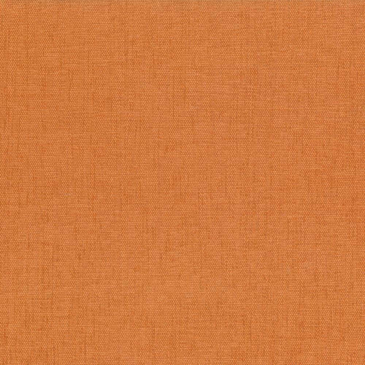 Pinnacle Apricot by Kasmir Fabric 5046 INDIA 102,000 Wyzenbeek Double Rubs H: N/A, V:N/A 54 - 55 - Fabric Carolina - Kasmir