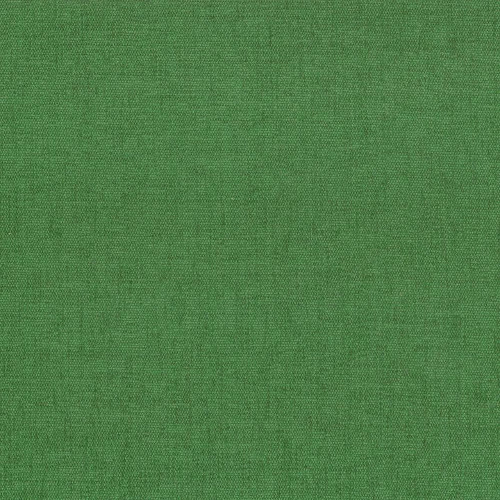 Pinnacle Avocado by Kasmir Fabric 5046 100% Polyester
 INDIA 102,000 Wyzenbeek Double Rubs Horizontal: N/A and Vertical: N/A 54 - Fabric Carolina -