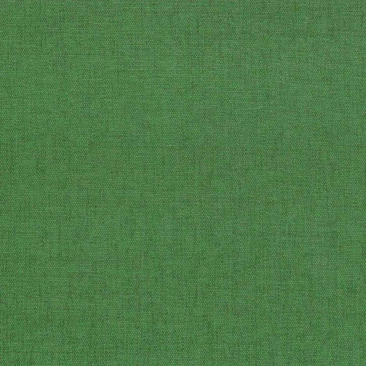 Pinnacle Avocado by Kasmir Fabric 5046 INDIA 102,000 Wyzenbeek Double Rubs H: N/A, V:N/A 54 - 55 - Fabric Carolina - Kasmir