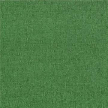 Pinnacle Avocado by Kasmir Fabric 5046 100% Polyester INDIA 102,000 Wyzenbeek Double Rubs H: N/A, V: N/A 54 - 55 - Fabric Carolina - Kasmir