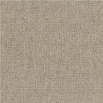 Pinnacle Barley by Kasmir Fabric 5046 100% Polyester INDIA 102,000 Wyzenbeek Double Rubs H: N/A, V: N/A 54 - 55 - Fabric Carolina - Kasmir