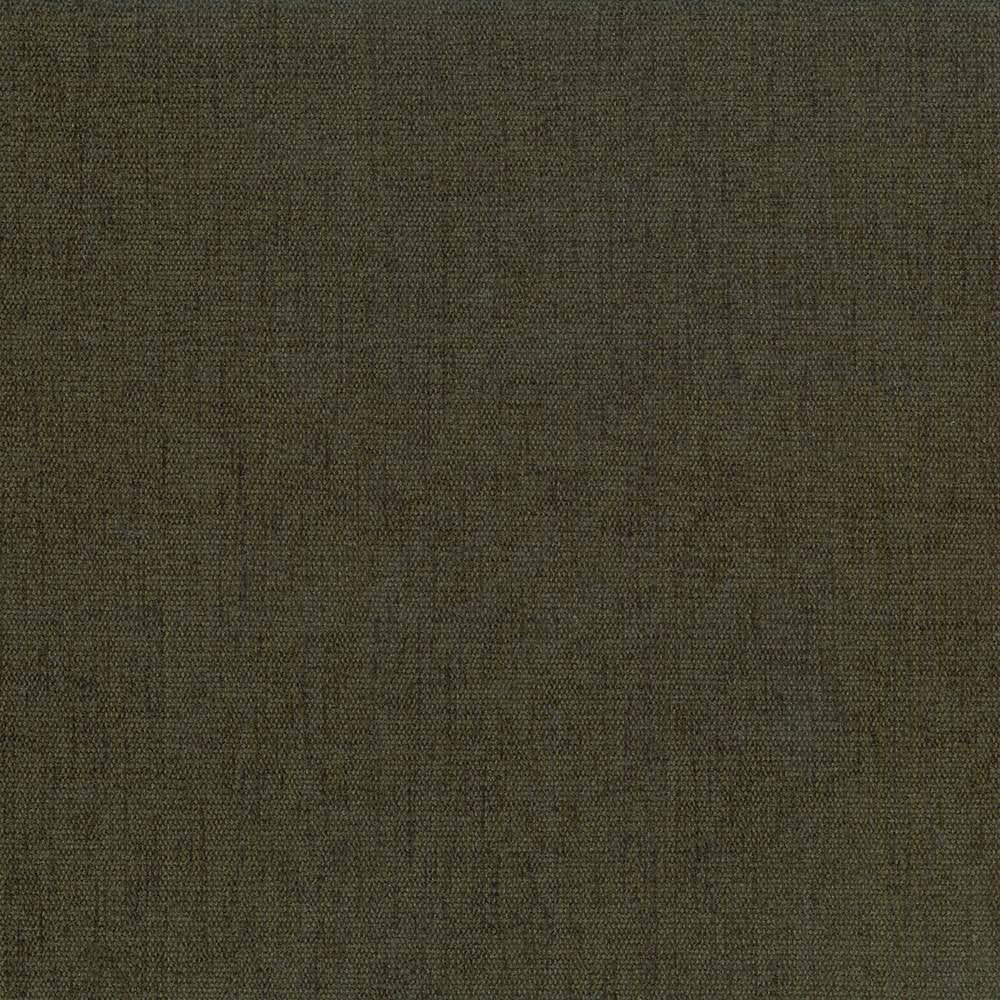 Pinnacle Basil by Kasmir Fabric 1353 INDIA 102,000 Wyzenbeek Double Rubs H: N/A, V:N/A 54 - 55 - Fabric Carolina - Kasmir