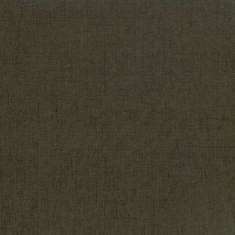 Pinnacle Basil by Kasmir Fabric 1353 100% Polyester
 INDIA </p><p>Repeat: Horizontal: N/A and Vertical: N/A 54 - 55 - Fabric Carolina -