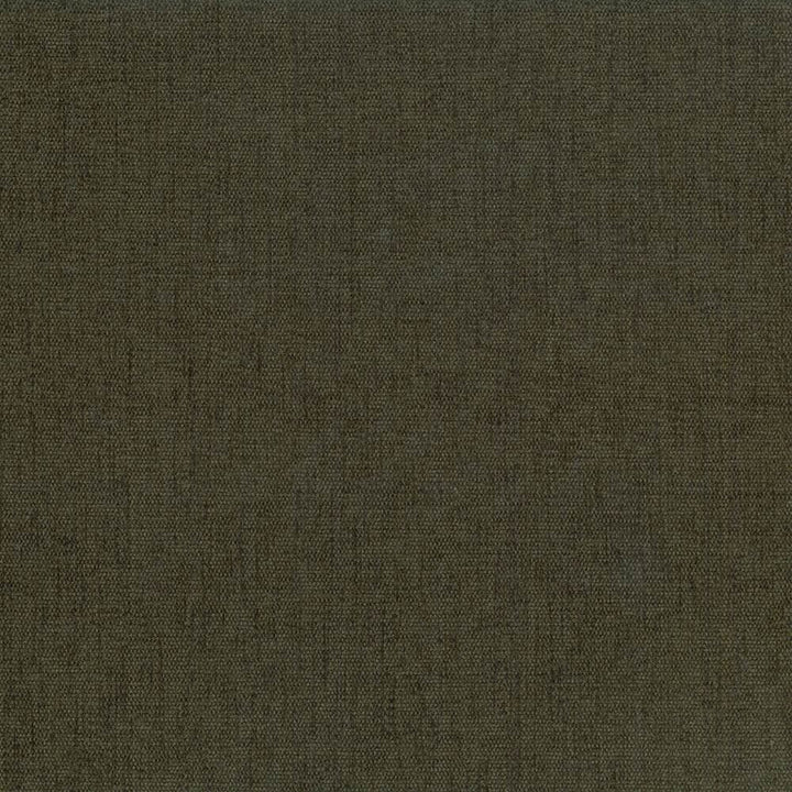 Pinnacle Basil by Kasmir Fabric 5046 100% Polyester
 INDIA 102,000 Wyzenbeek Double Rubs Horizontal: N/A and Vertical: N/A 54 - Fabric Carolina -