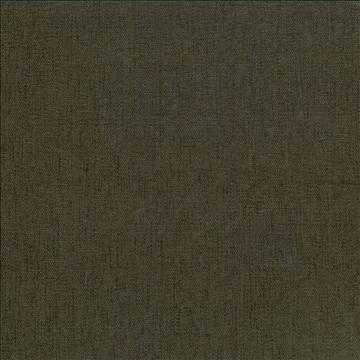 Pinnacle Basil by Kasmir Fabric 5046 100% Polyester INDIA 102,000 Wyzenbeek Double Rubs H: N/A, V: N/A 54 - 55 - Fabric Carolina - Kasmir