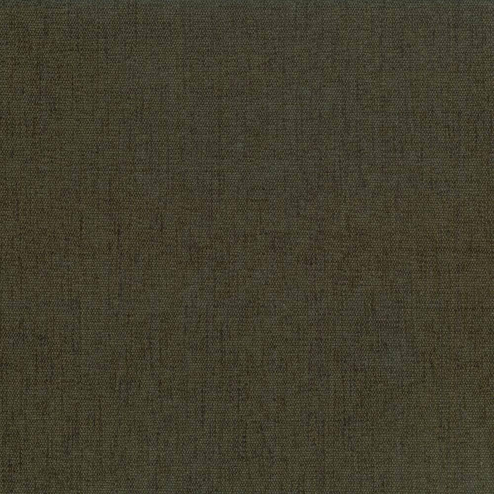 Pinnacle Basil by Kasmir Fabric 5046 INDIA 102,000 Wyzenbeek Double Rubs H: N/A, V:N/A 54 - 55 - Fabric Carolina - Kasmir