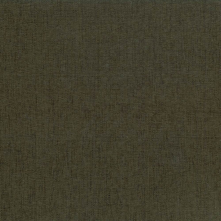 Pinnacle Basil by Kasmir Fabric 1353 100% Polyester
 INDIA </p><p>Repeat: Horizontal: N/A and Vertical: N/A 54 - 55 - Fabric Carolina -