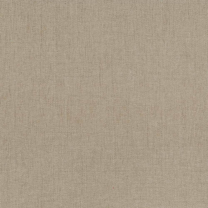Pinnacle Beige by Kasmir Fabric 1353 INDIA 102,000 Wyzenbeek Double Rubs H: N/A, V:N/A 54 - 55 - Fabric Carolina - Kasmir