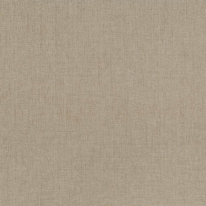 Pinnacle Beige by Kasmir Fabric 1353 100% Polyester
 INDIA </p><p>Repeat: Horizontal: N/A and Vertical: N/A 54 - 55 - Fabric Carolina -