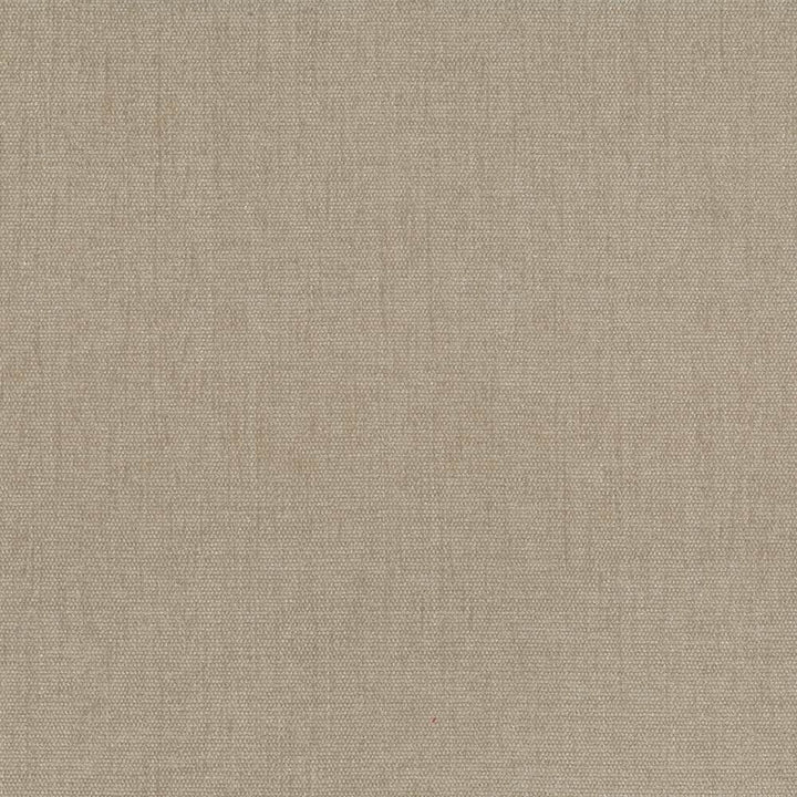 Pinnacle Beige by Kasmir Fabric 5046 100% Polyester
 INDIA </p><p>Repeat: Horizontal: N/A and Vertical: N/A 54 - 55 - Fabric Carolina -