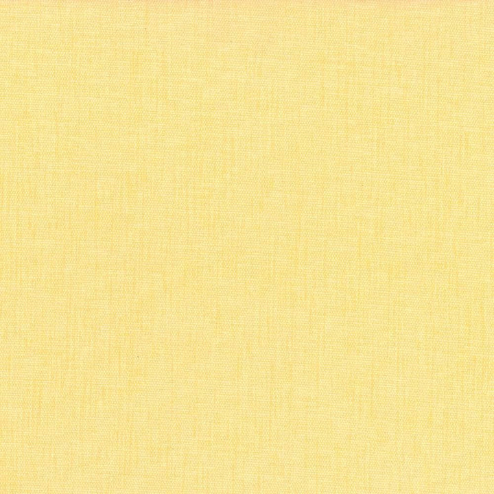 Pinnacle Butter by Kasmir Fabric 5046 100% Polyester
 INDIA 102,000 Wyzenbeek Double Rubs Horizontal: N/A and Vertical: N/A 54 - Fabric Carolina -