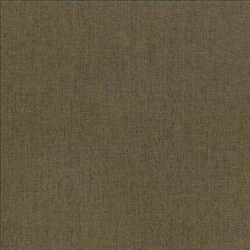 Pinnacle Cafe by Kasmir Fabric 1353 100% Polyester INDIA 102,000 Wyzenbeek Double Rubs H: N/A, V: N/A 54 - 55 - Fabric Carolina - Kasmir
