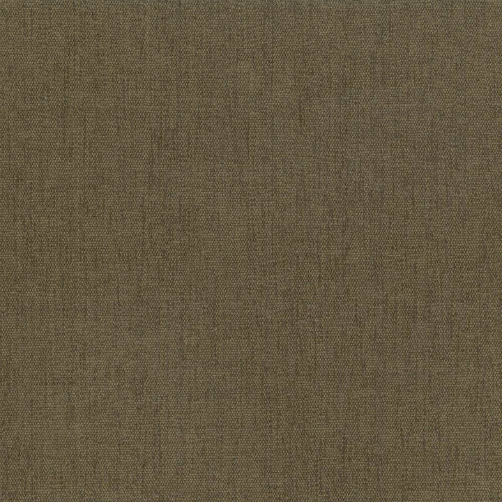 Pinnacle Cafe by Kasmir Fabric 5046 INDIA 102,000 Wyzenbeek Double Rubs H: N/A, V:N/A 54 - 55 - Fabric Carolina - Kasmir