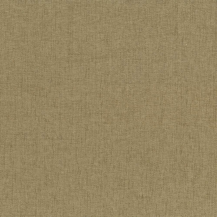 Pinnacle Cashew by Kasmir Fabric 5046 100% Polyester
 INDIA </p><p>Repeat: Horizontal: N/A and Vertical: N/A 54 - 55 - Fabric Carolina -