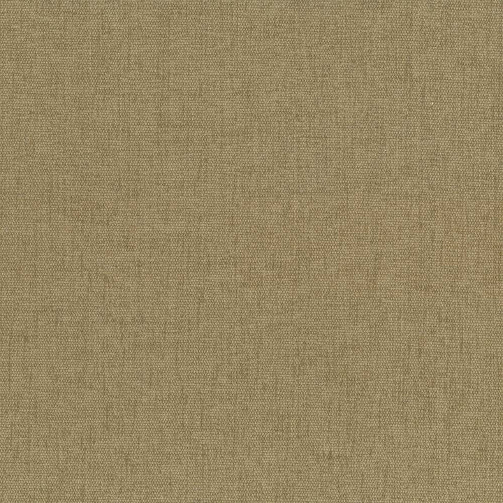 Pinnacle Cashew by Kasmir Fabric 5046 INDIA 102,000 Wyzenbeek Double Rubs H: N/A, V:N/A 54 - 55 - Fabric Carolina - Kasmir