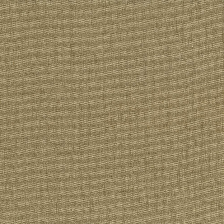 Pinnacle Cashew by Kasmir Fabric 5046 100% Polyester
 INDIA </p><p>Repeat: Horizontal: N/A and Vertical: N/A 54 - 55 - Fabric Carolina -