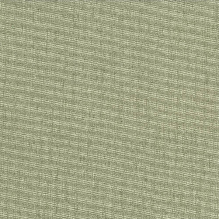 Pinnacle Celery by Kasmir Fabric 5046 100% Polyester
 INDIA </p><p>Repeat: Horizontal: N/A and Vertical: N/A 54 - 55 - Fabric Carolina -