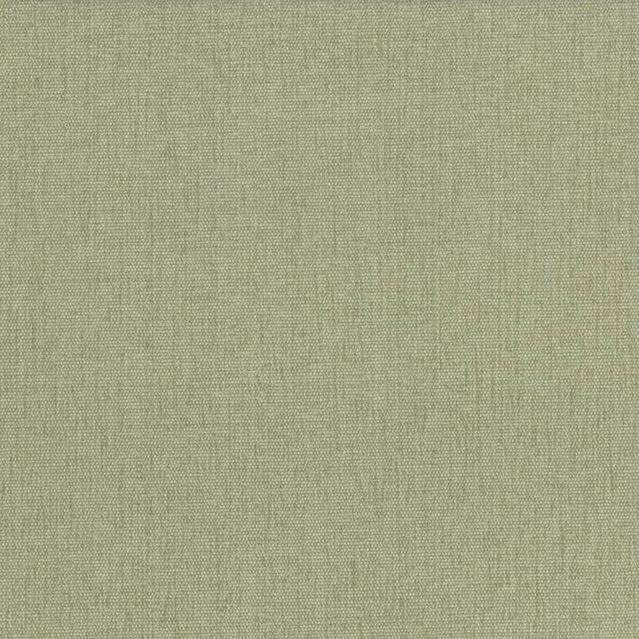 Pinnacle Celery by Kasmir Fabric 5046 INDIA 102,000 Wyzenbeek Double Rubs H: N/A, V:N/A 54 - 55 - Fabric Carolina - Kasmir