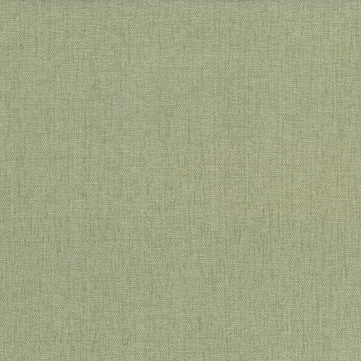 Pinnacle Celery by Kasmir Fabric 5046 100% Polyester
 INDIA 102,000 Wyzenbeek Double Rubs </p><p>Repeat: Horizontal: N/A and Vertical: N/A 54 - Fabric Carolina -
