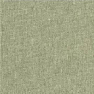 Pinnacle Celery by Kasmir Fabric 5046 100% Polyester INDIA 102,000 Wyzenbeek Double Rubs H: N/A, V: N/A 54 - 55 - Fabric Carolina - Kasmir
