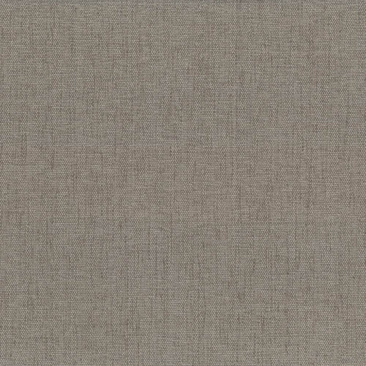 Pinnacle Cement by Kasmir Fabric 5046 100% Polyester
 INDIA </p><p>Repeat: Horizontal: N/A and Vertical: N/A 54 - 55 - Fabric Carolina -