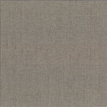 Pinnacle Cement by Kasmir Fabric 5046 100% Polyester INDIA 102,000 Wyzenbeek Double Rubs H: N/A, V: N/A 54 - 55 - Fabric Carolina - Kasmir