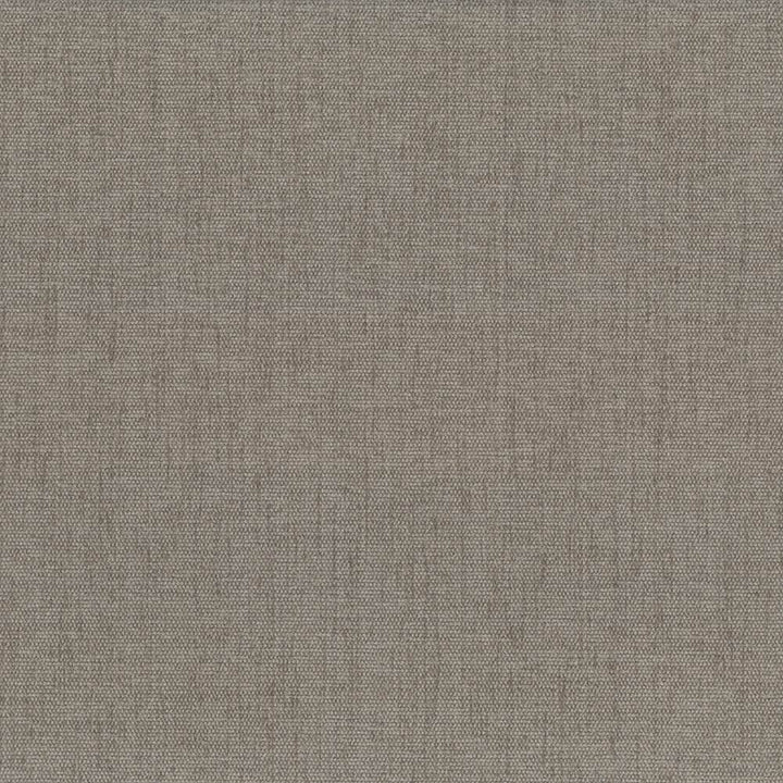 Pinnacle Cement by Kasmir Fabric 5046 100% Polyester
 INDIA </p><p>Repeat: Horizontal: N/A and Vertical: N/A 54 - 55 - Fabric Carolina -
