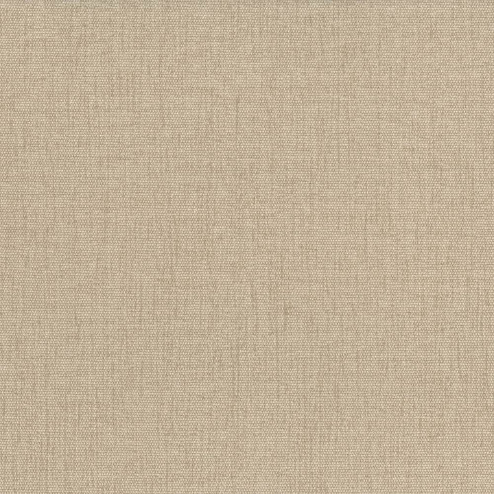 Pinnacle Chamois by Kasmir Fabric 5046 100% Polyester
 INDIA </p><p>Repeat: Horizontal: N/A and Vertical: N/A 54 - 55 - Fabric Carolina -