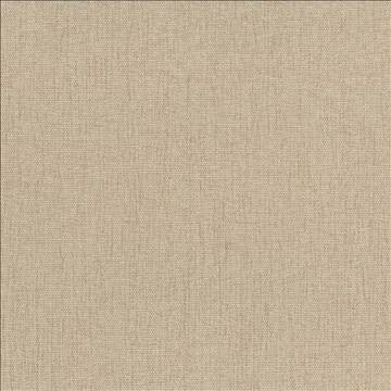 Pinnacle Chamois by Kasmir Fabric 5046 100% Polyester INDIA 102,000 Wyzenbeek Double Rubs H: N/A, V: N/A 54 - 55 - Fabric Carolina - Kasmir