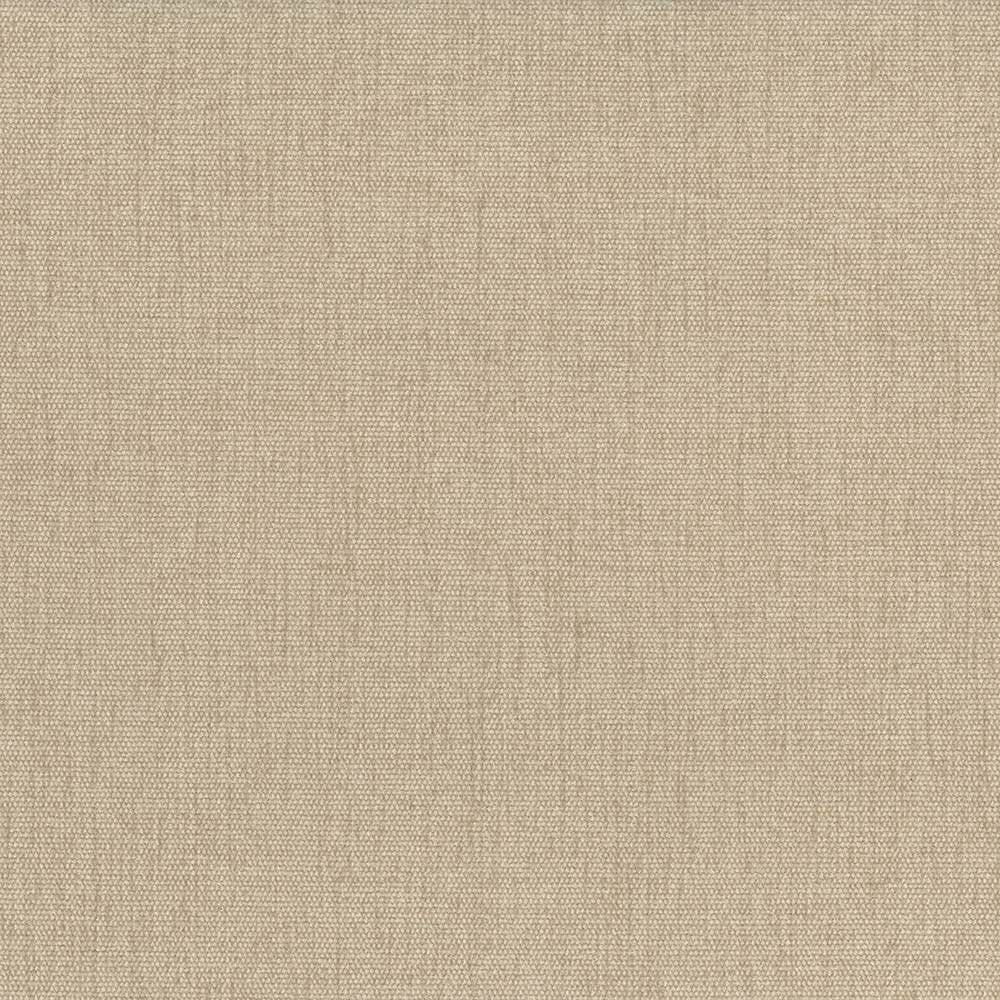 Pinnacle Chamois by Kasmir Fabric 1353 INDIA 102,000 Wyzenbeek Double Rubs H: N/A, V:N/A 54 - 55 - Fabric Carolina - Kasmir