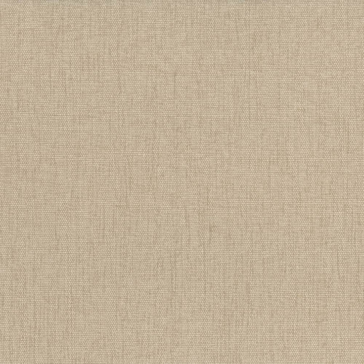 Pinnacle Chamois by Kasmir Fabric 1353 INDIA 102,000 Wyzenbeek Double Rubs H: N/A, V:N/A 54 - 55 - Fabric Carolina - Kasmir
