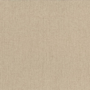Pinnacle Chamois by Kasmir Fabric