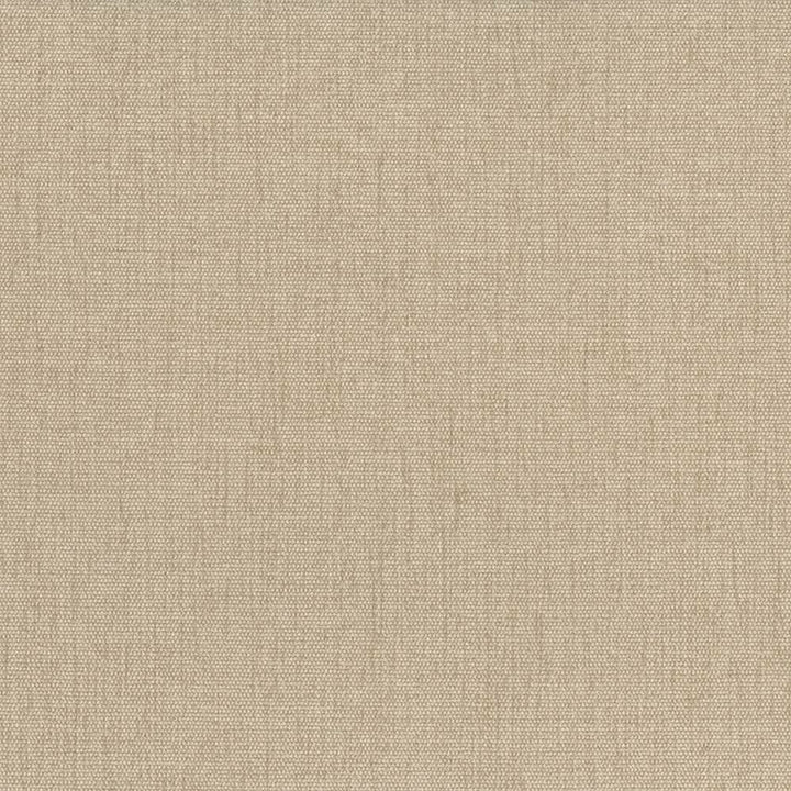 Pinnacle Chamois by Kasmir Fabric 5046 100% Polyester
 INDIA </p><p>Repeat: Horizontal: N/A and Vertical: N/A 54 - 55 - Fabric Carolina -
