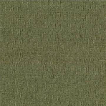 Pinnacle Chive by Kasmir Fabric 5046 100% Polyester INDIA 102,000 Wyzenbeek Double Rubs H: N/A, V: N/A 54 - 55 - Fabric Carolina - Kasmir