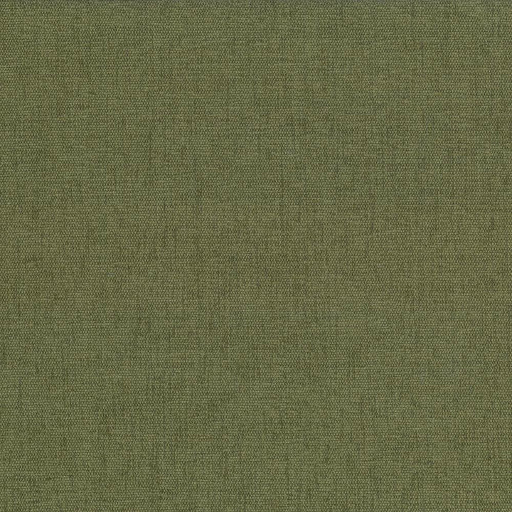 Pinnacle Chive by Kasmir Fabric 5046 100% Polyester
 INDIA </p><p>Repeat: Horizontal: N/A and Vertical: N/A 54 - 55 - Fabric Carolina -