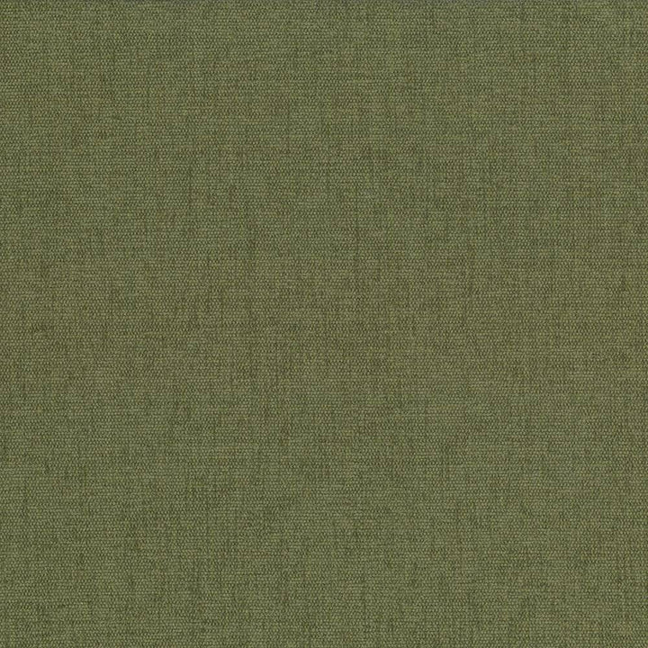 Pinnacle Chive by Kasmir Fabric 1353 INDIA 102,000 Wyzenbeek Double Rubs H: N/A, V:N/A 54 - 55 - Fabric Carolina - Kasmir