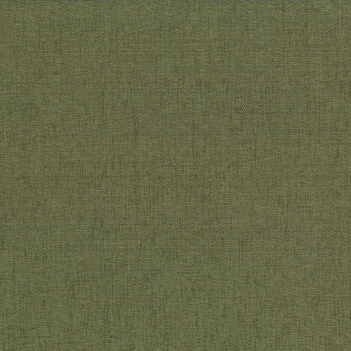 Pinnacle Chive by Kasmir Fabric 5046 100% Polyester
 INDIA </p><p>Repeat: Horizontal: N/A and Vertical: N/A 54 - 55 - Fabric Carolina -