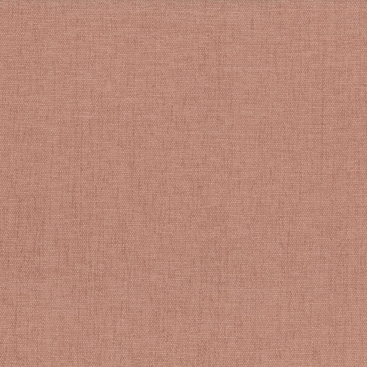 Pinnacle Clay by Kasmir Fabric 5046 INDIA 102,000 Wyzenbeek Double Rubs H: N/A, V:N/A 54 - 55 - Fabric Carolina - Kasmir