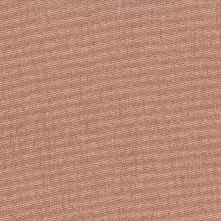 Pinnacle Clay by Kasmir Fabric 5046 100% Polyester
 INDIA </p><p>Repeat: Horizontal: N/A and Vertical: N/A 54 - 55 - Fabric Carolina -
