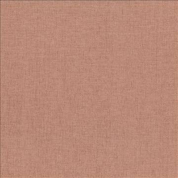 Pinnacle Clay by Kasmir Fabric 5046 100% Polyester INDIA 102,000 Wyzenbeek Double Rubs H: N/A, V: N/A 54 - 55 - Fabric Carolina - Kasmir
