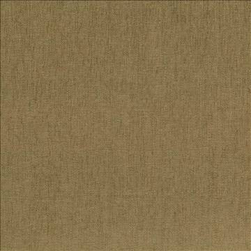 Pinnacle Coin by Kasmir Fabric 1353 100% Polyester INDIA 102,000 Wyzenbeek Double Rubs H: N/A, V: N/A 54 - 55 - Fabric Carolina - Kasmir