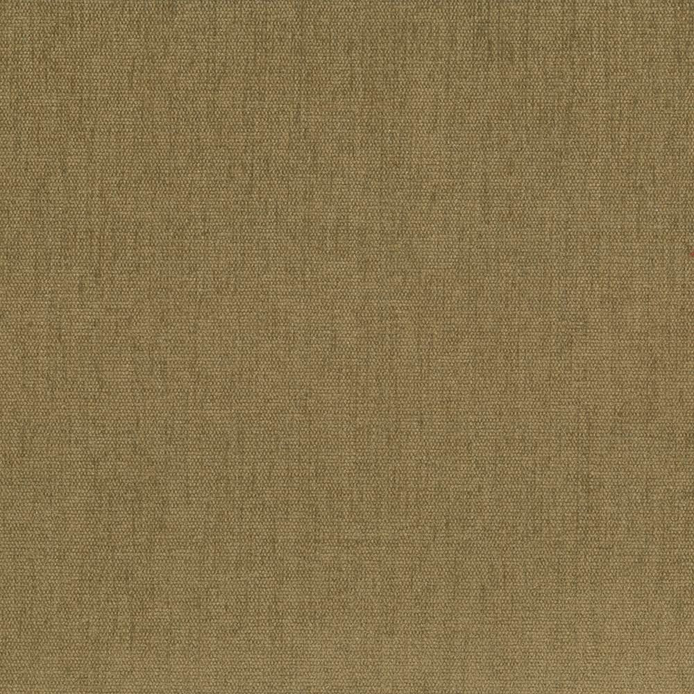 Pinnacle Coin by Kasmir Fabric 1353 100% Polyester
 INDIA </p><p>Repeat: Horizontal: N/A and Vertical: N/A 54 - 55 - Fabric Carolina -