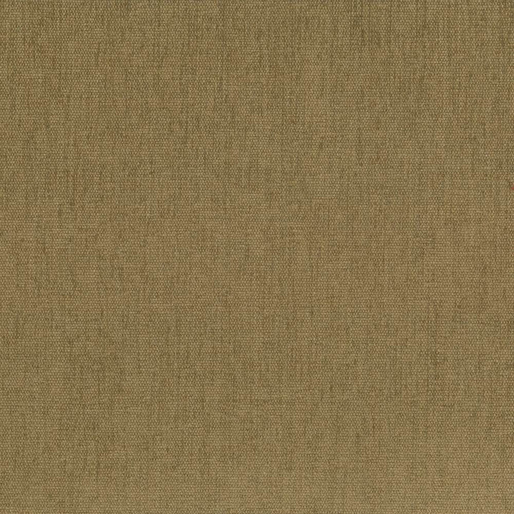 Pinnacle Coin by Kasmir Fabric 1353 100% Polyester
 INDIA </p><p>Repeat: Horizontal: N/A and Vertical: N/A 54 - 55 - Fabric Carolina -