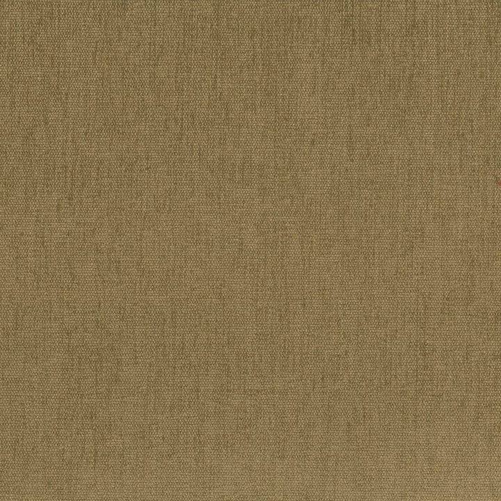 Pinnacle Coin by Kasmir Fabric 1353 INDIA 102,000 Wyzenbeek Double Rubs H: N/A, V:N/A 54 - 55 - Fabric Carolina - Kasmir