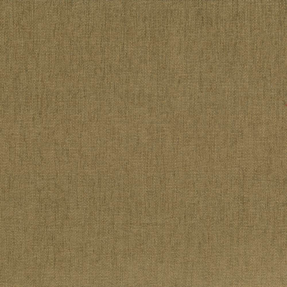 Pinnacle Coin by Kasmir Fabric 5046 100% Polyester
 INDIA </p><p>Repeat: Horizontal: N/A and Vertical: N/A 54 - 55 - Fabric Carolina -