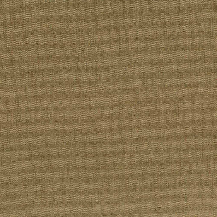 Pinnacle Coin by Kasmir Fabric 5046 100% Polyester
 INDIA </p><p>Repeat: Horizontal: N/A and Vertical: N/A 54 - 55 - Fabric Carolina -