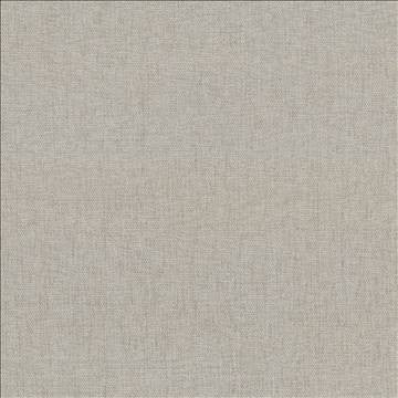 Pinnacle Ecru by Kasmir Fabric 5046 100% Polyester INDIA 102,000 Wyzenbeek Double Rubs H: N/A, V: N/A 54 - 55 - Fabric Carolina - Kasmir